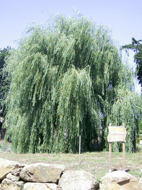 La Bergerie Villa Camlez Bagian luar foto